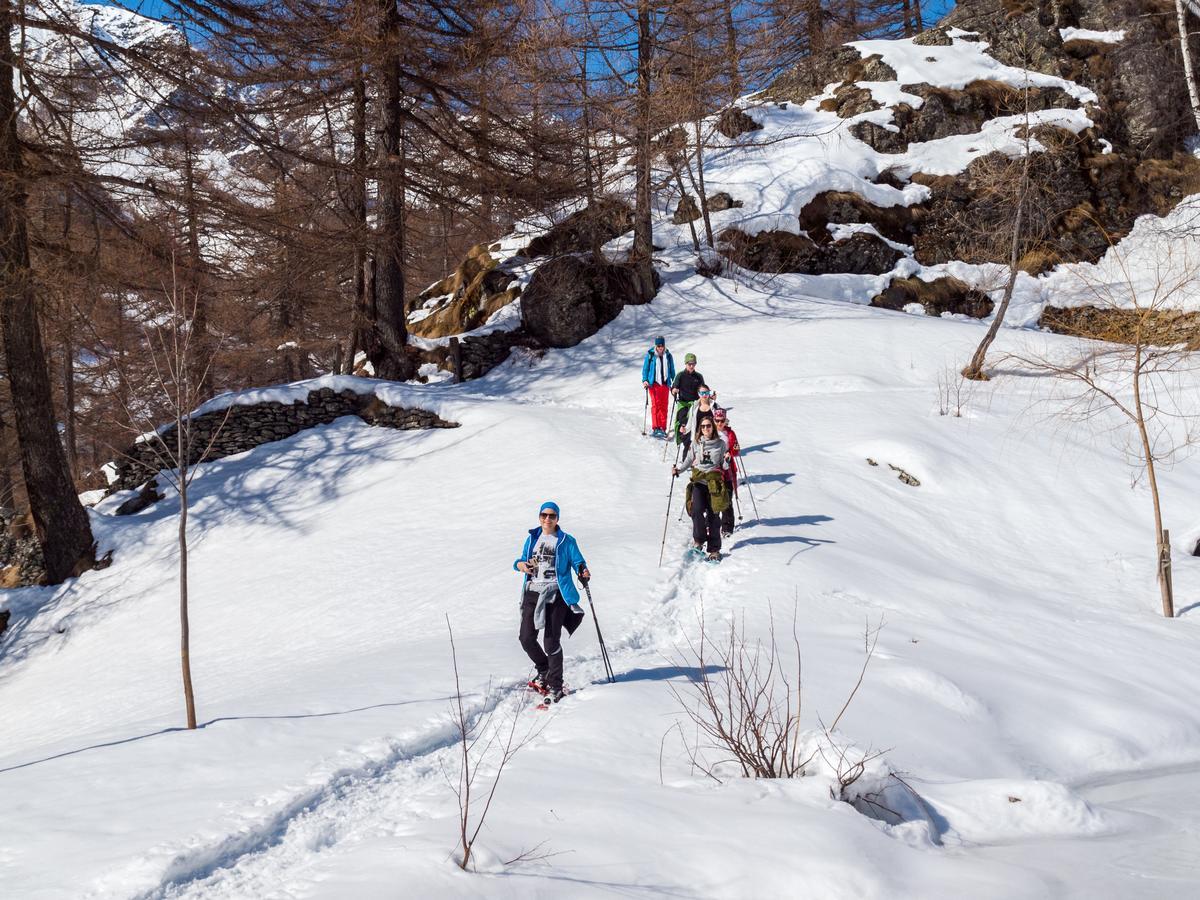 Gruppenhaus Im Walliser Alpstyle Rosswald Zewnętrze zdjęcie